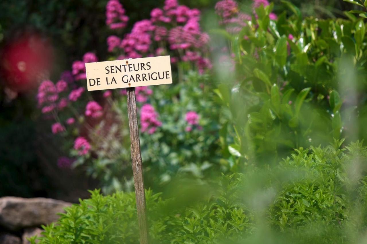 Maison De Village La Clemaline Figanières Εξωτερικό φωτογραφία